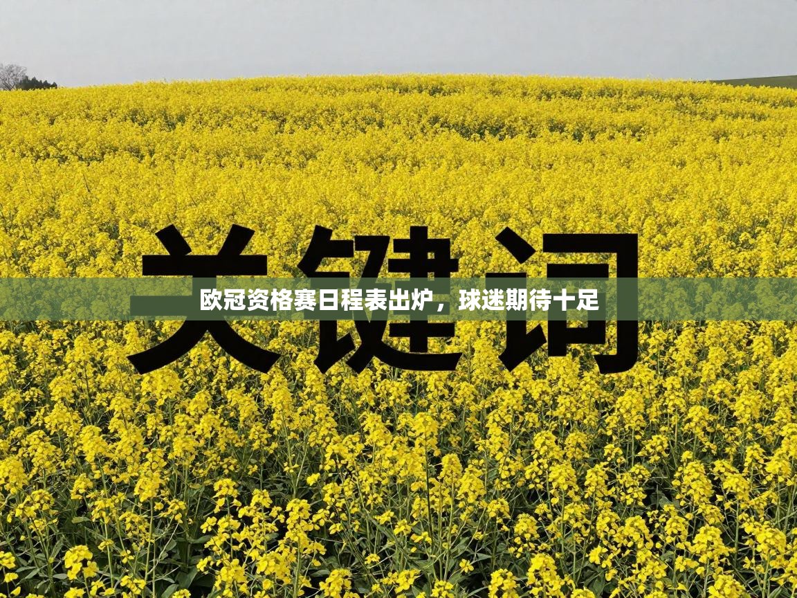 欧冠资格赛日程表出炉，球迷期待十足  第2张