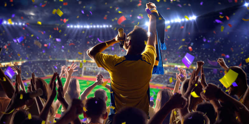 爱游戏-包含红蓝战队激烈角逐，草地上飞起了球迷的欢呼声的词条