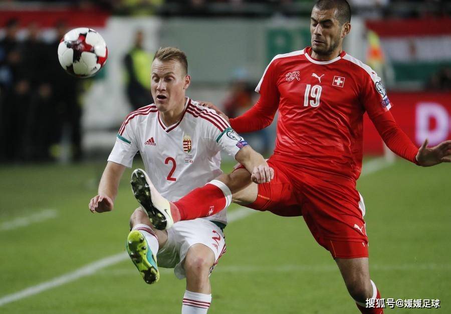 爱游戏网页版入口-波兰篮球超级联赛热门球队状态回升